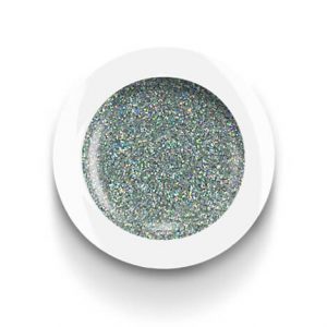 Glitter Holo Silver