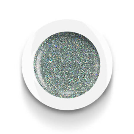 Glitter Holo Silver