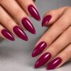 Orchidea - Thumbnail Image 2